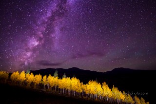 Fall Colors at Night