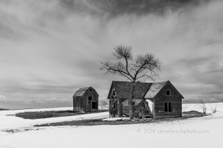 Abandoned Ranch