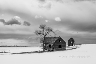 Abandoned Ranch