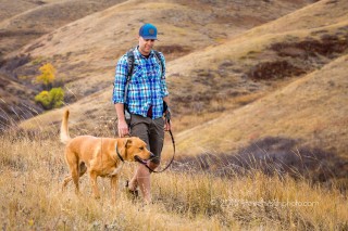 photographing rescue dogs