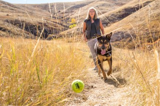 photographing rescue dogs