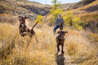 photographing rescue dogs