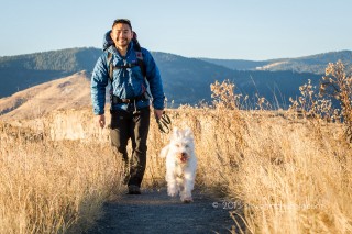 photographing rescue dogs