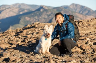 photographing rescue dogs