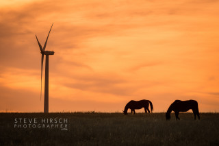 Sunset and Horses Steve Hirsch